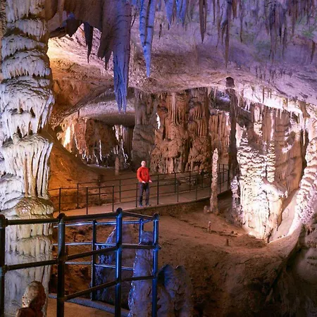 Διαμέρισμα Spring And Summer Near Ljubljana With Free Secure Parking *