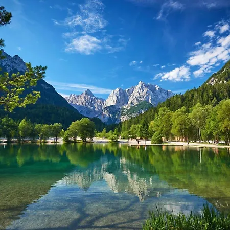 Spring And Summer Near Ljubljana With Free Secure Parking Διαμέρισμα *