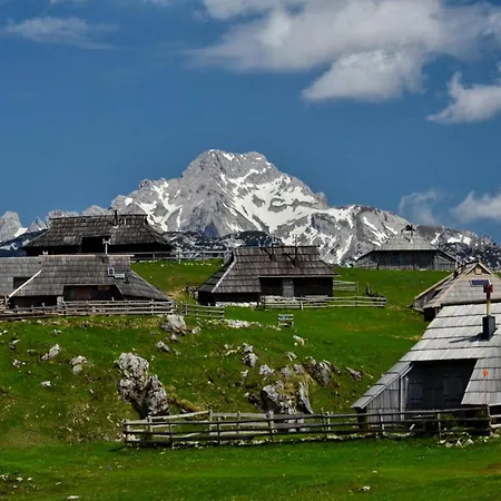 Spring And Summer Near Ljubljana With Free Secure Parking Διαμέρισμα *