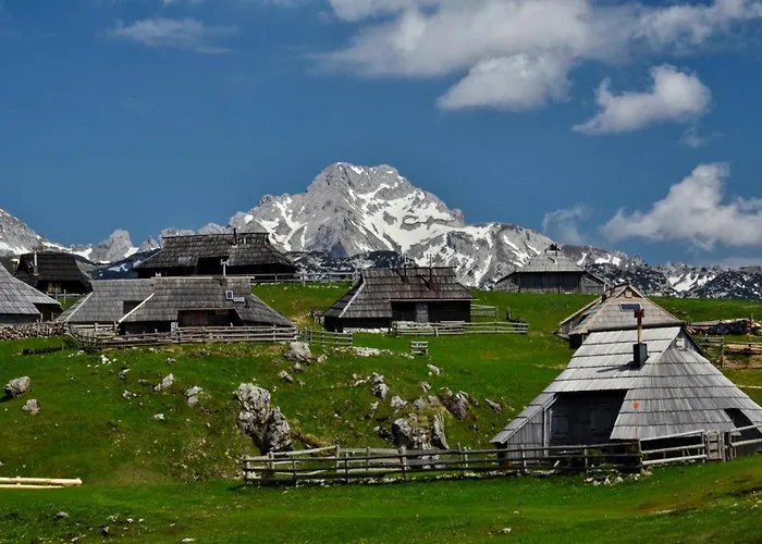 Spring And Summer Near Ljubljana With Free Secure Parking 아파트 *